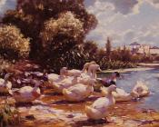 Mid Day Swim - 亚历山大·凯斯特